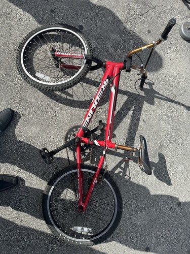 2004 rare redline - rare, proline