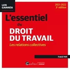 L'essentiel du droit du travail : les relations collectives: Une présentati