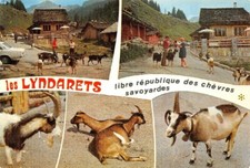 Les Lyndarets - Libre République Chèvre Savoyarde - Multi-Vues