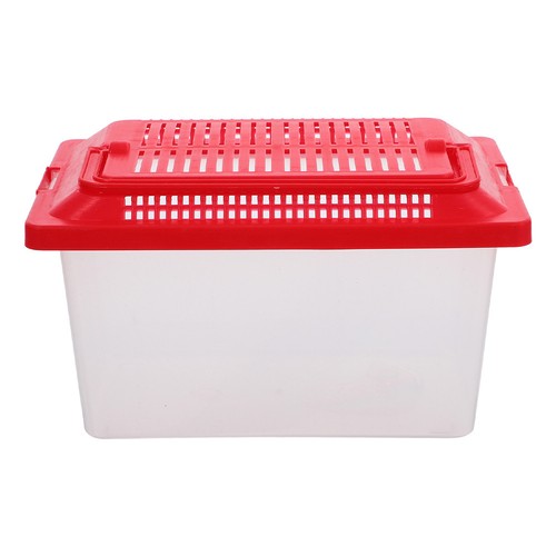 Bocal poisson plastique bac - bocal,