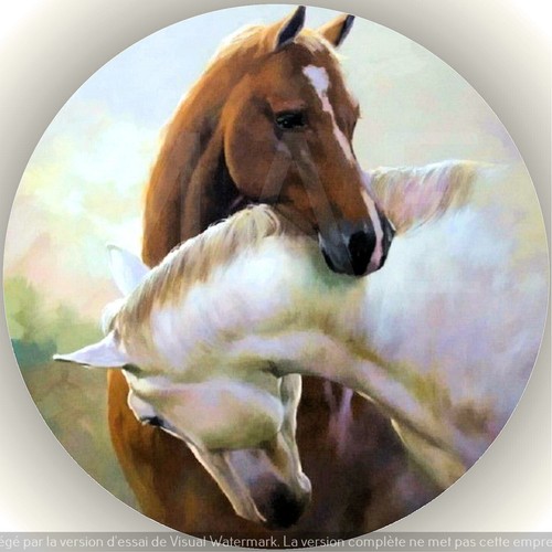 Cheval décoration de - cheval.,