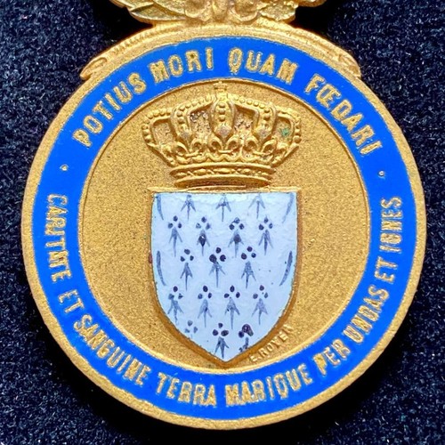 Médaille des hospitaliers - médaille,
