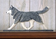 Plaque Murale Décorative Husky Grise/Blanche
