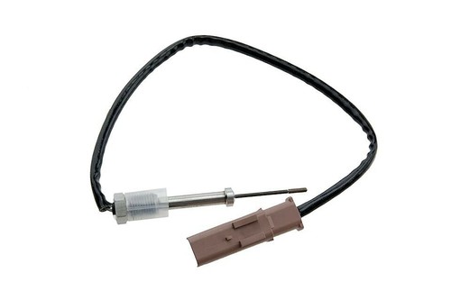 Sonde température gaz - sonde, de