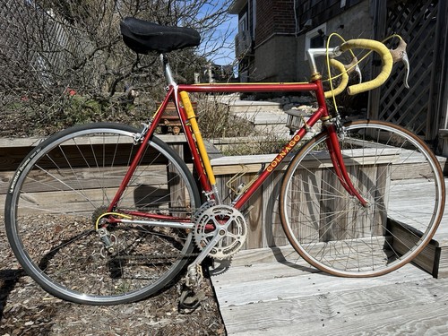 1977 colnago super very - very, good