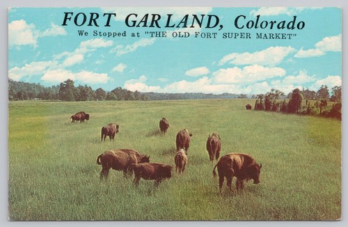 Postcard fort garland - fort, colorado