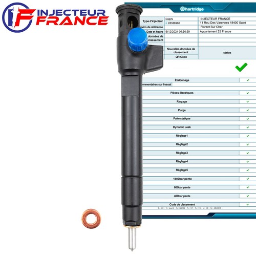 9674984080 delphi injecteur - 9674984080,