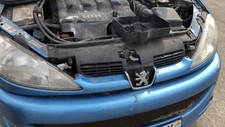 Calandre PEUGEOT 206 PHASE 1