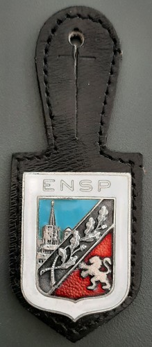 Insigne badge ensp - insigne,