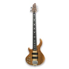 Left-handed  5 String Electric