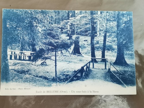 Cpa belleme forêt - -,