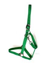 Licou Pour Chevaux en Nylon