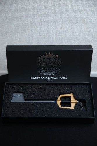 Tokyo disney kingdom - kingdom, hearts