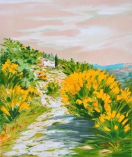 ZAROU : Petit chemin
