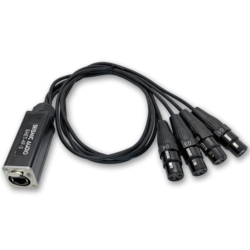 Seismic audio 3ft ethernet - seismic,