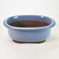 Bonsaï Pot Seto Céramique