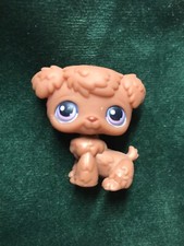 ??Petshop CHIEN Bichon frisé 39??