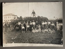 Grande photo ancienne - photo,