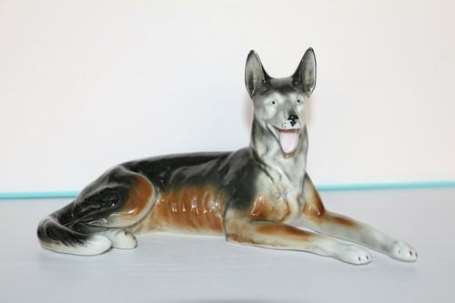 Rare chien berger - chien, a
