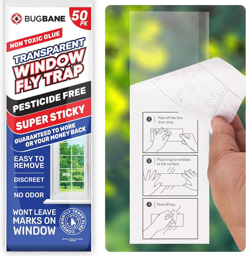 Pack window fly traps - 50,