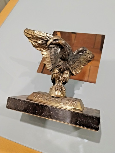 Statut aigle rapace - , regule
