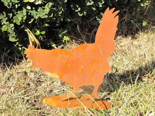Poule rouille noble - en,