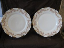 Magnifique paire d'assiettes en porcelaine de Limoges Théodore Haviland XIXeme