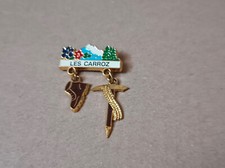 pin's station de ski les