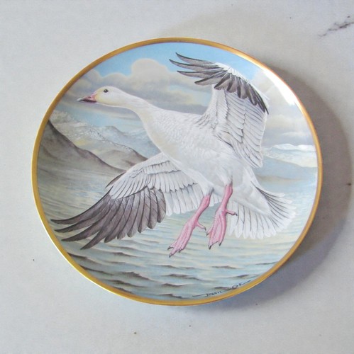 Franklin porcelain assiette - porcelain.,