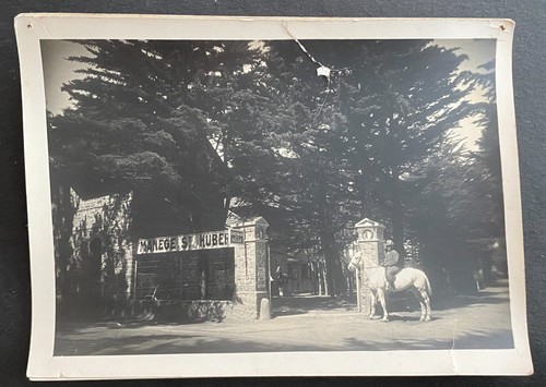 Photographie manege saint - photographie, -manege