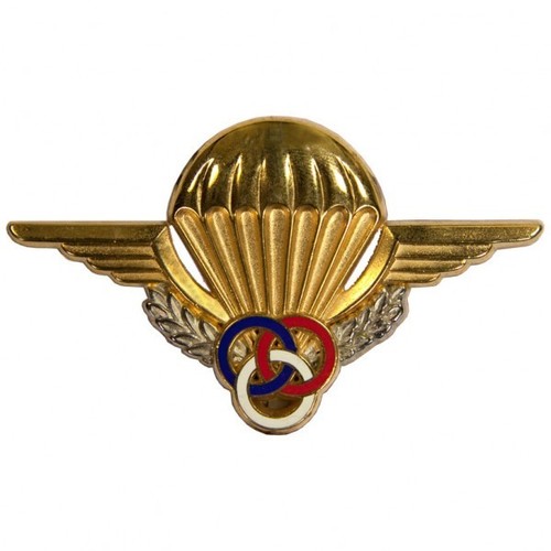 Veritable insigne brevet - insigne,