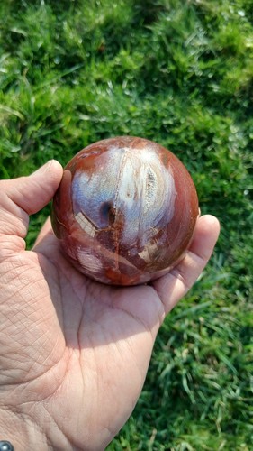 Bois fossile forme sphère - bois,