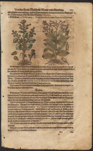 1590 planche gravure - planche,