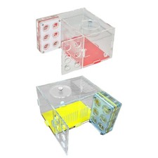 Nid de fourmis compact et