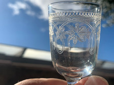 6 Superbes Anciens Verres à Liqueur Cave à Liqueur Napoléon III