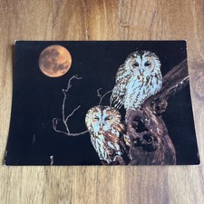 Postcard CPA - Chouette