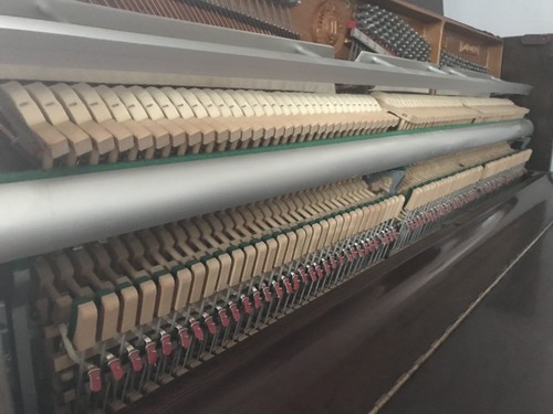 Young Chang E-118 Upright