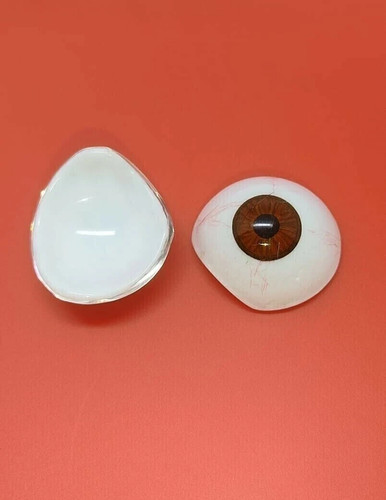 Oeil prothétique pièces - prothétique, 2