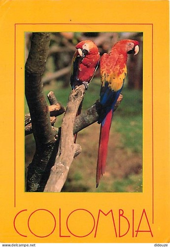 Carte postale animaux - postale,