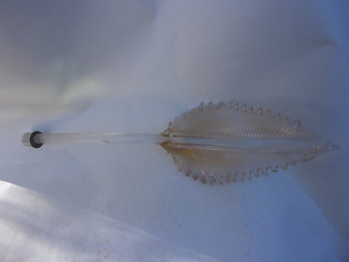 Feuille palme élément pour - feuille,