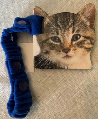 Kitten stoller book - stoller,