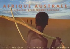 Afrique australe : L'avenir