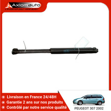 🇫🇷 VERIN HAYON G PEUGEOT