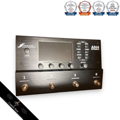 Fractal audio systems am4 - fractal, amp