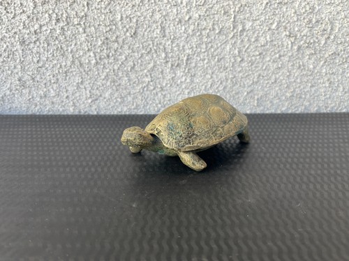 Belle tortue décorative - , en