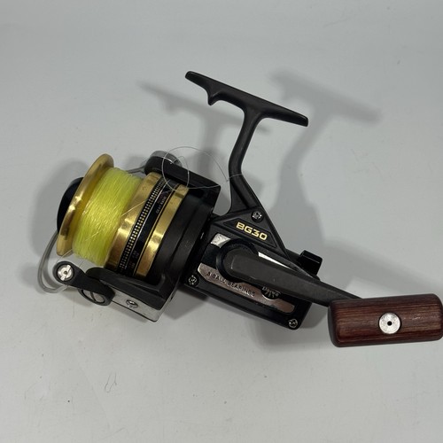 Daiwa spinning reel - bg,