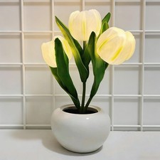Veilleuse Tulipe,Veilleuse en