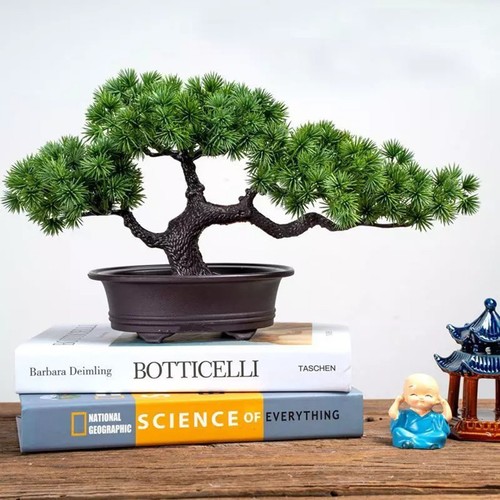 Bonsaï artificiel plante - bonsaï,