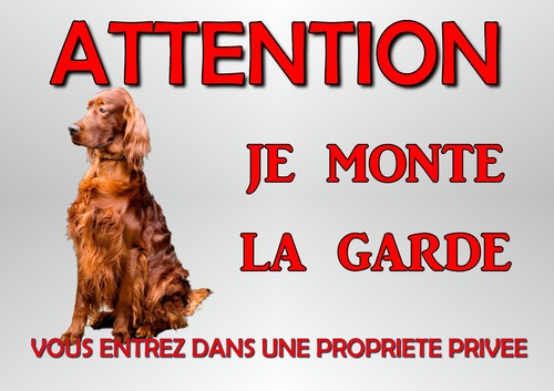 Plaque chien garde setter - de,