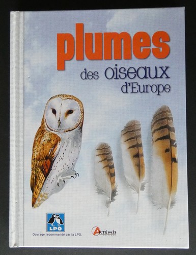 Plumes des oiseaux europe - plumes,